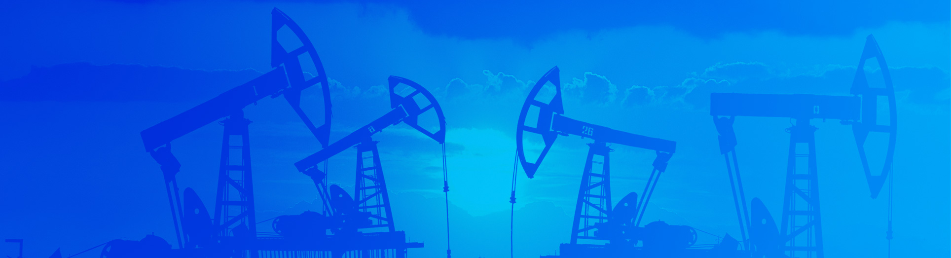 ERP Cloud for Oil and Gas Industry